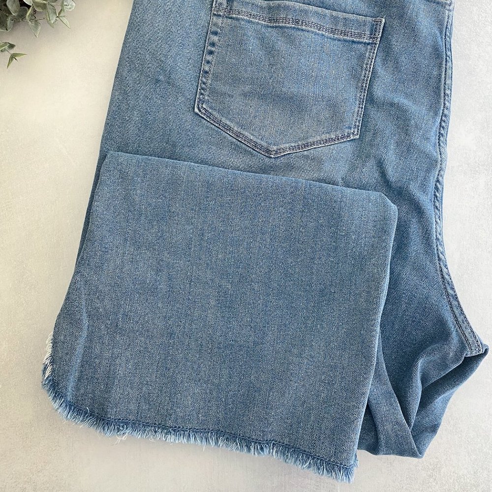 JJill High Rise Cropped Denim Jeans Raw Hem 20W